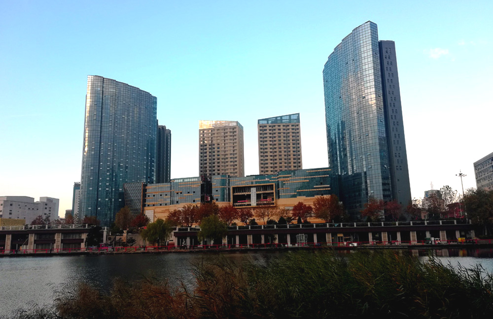 IMG_20201120_073716.jpg