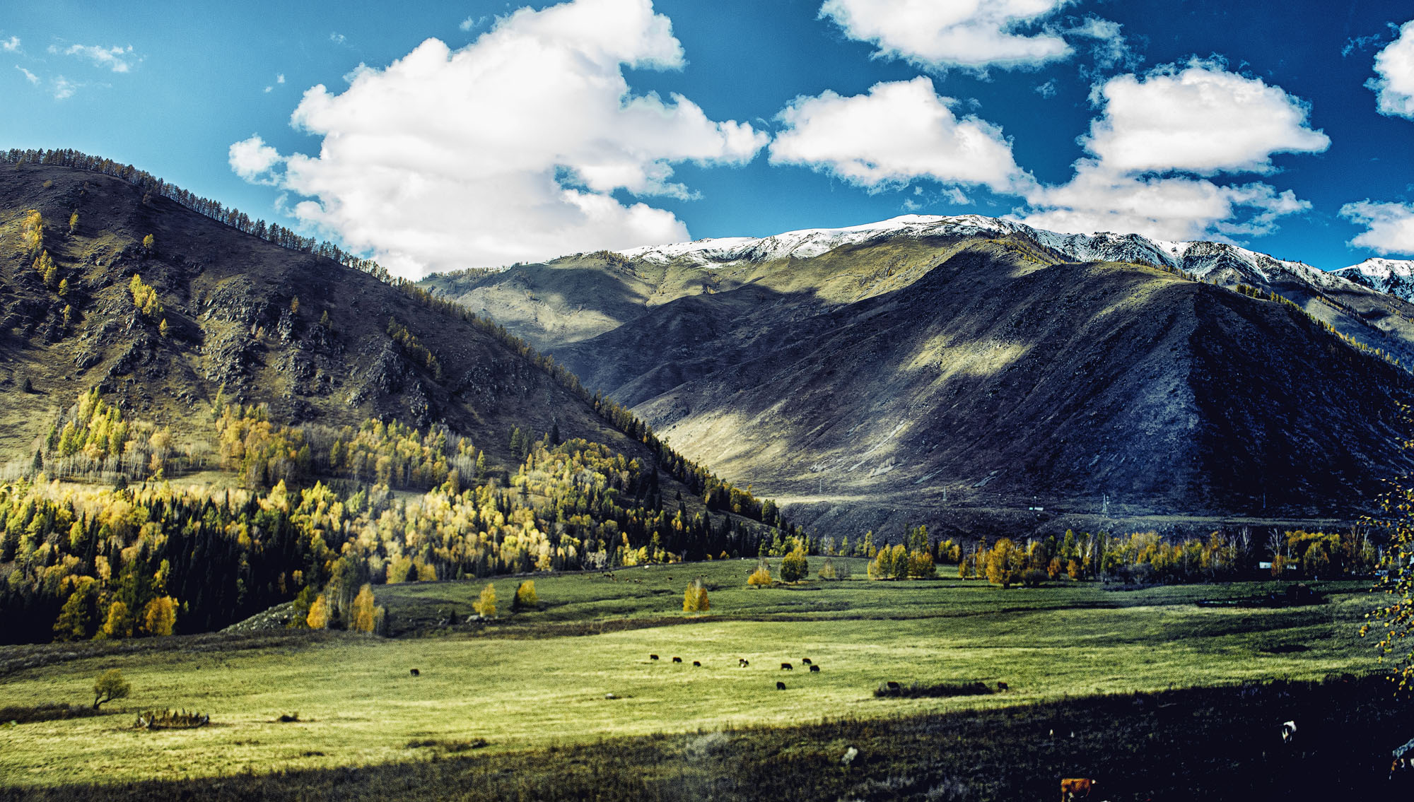 _DSC8127-1.jpg