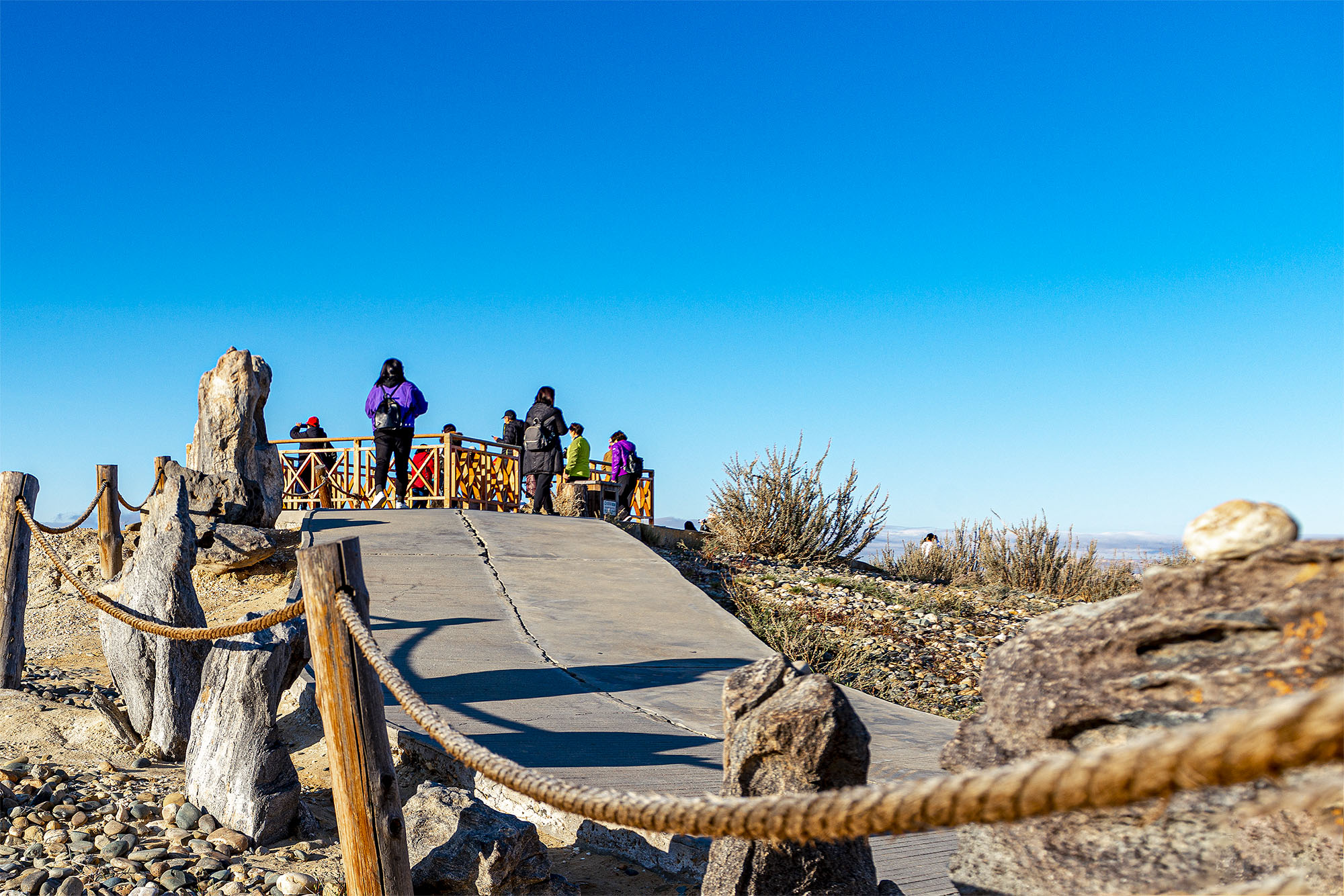 _DSC7884-1.jpg