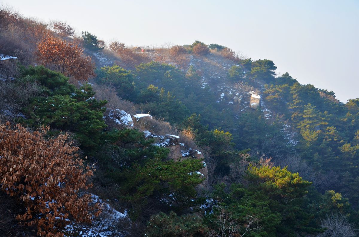 DSC_0080_副本.jpg