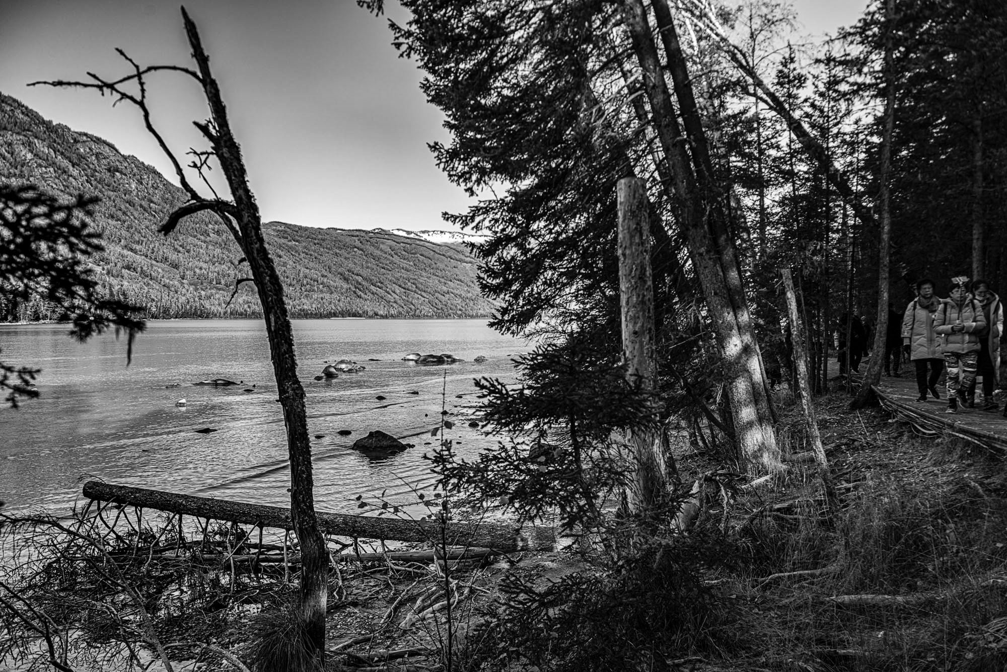 _DSC8937-1hb.jpg
