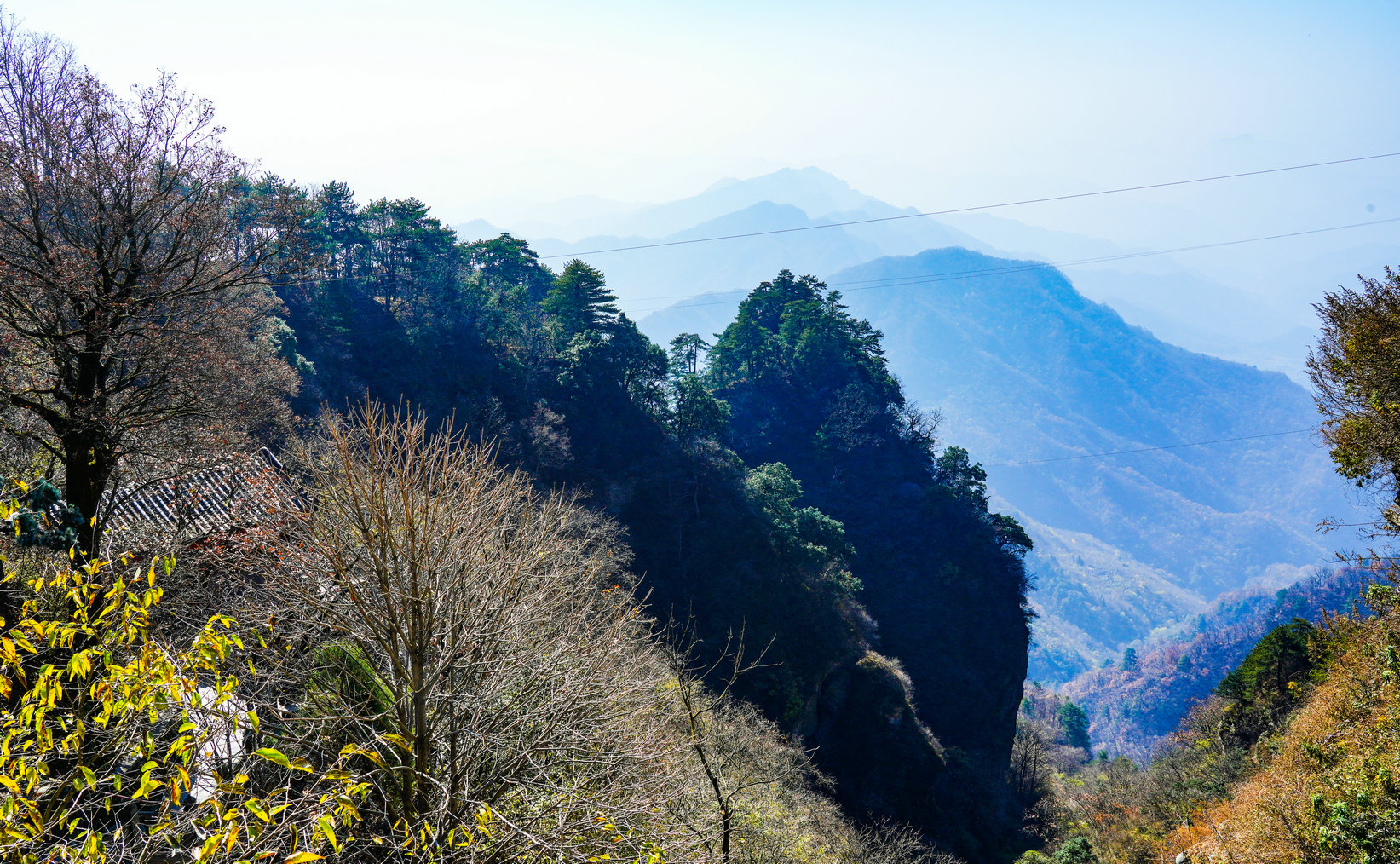 DSC09158.JPG