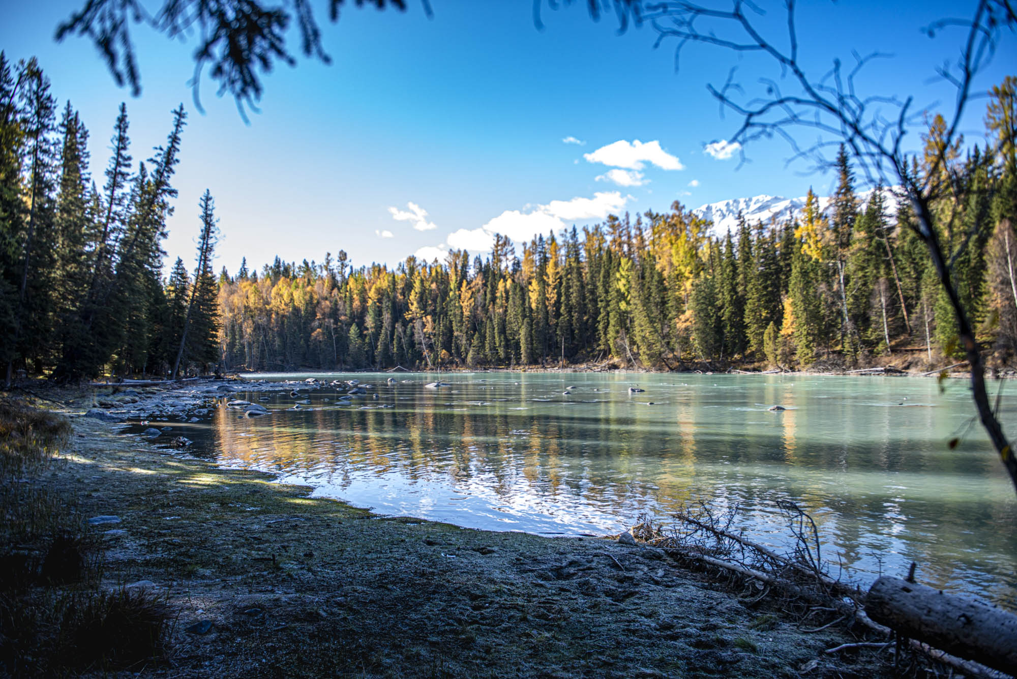 _DSC8912-2.jpg