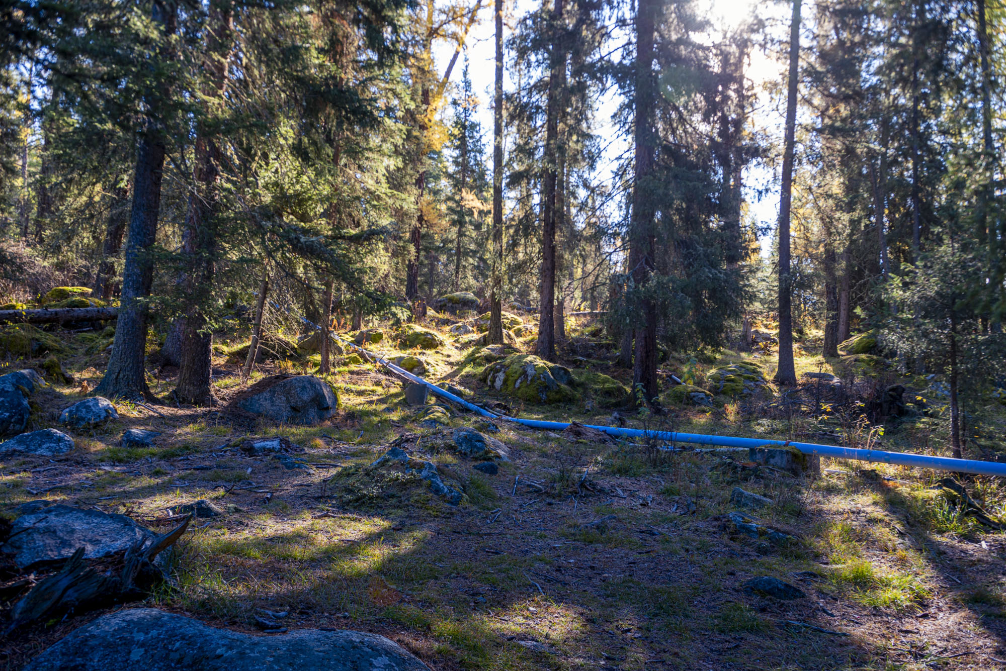 _DSC8916-1.jpg