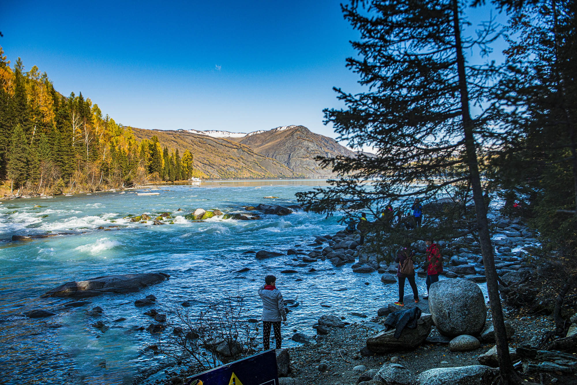 _DSC8920-1.jpg