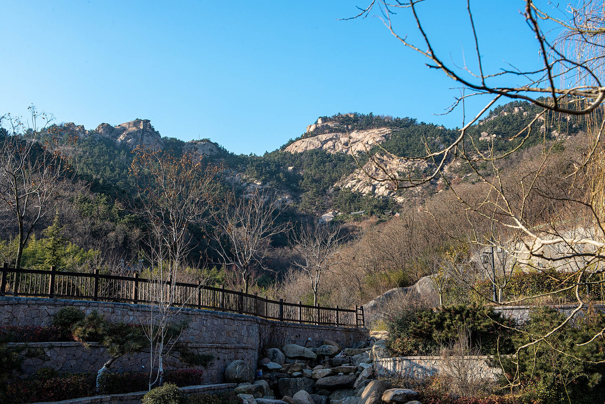 _DSC0655-1.jpg