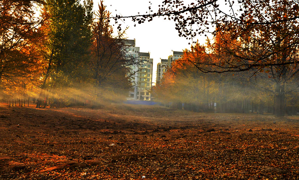 _DSC8081.JPG