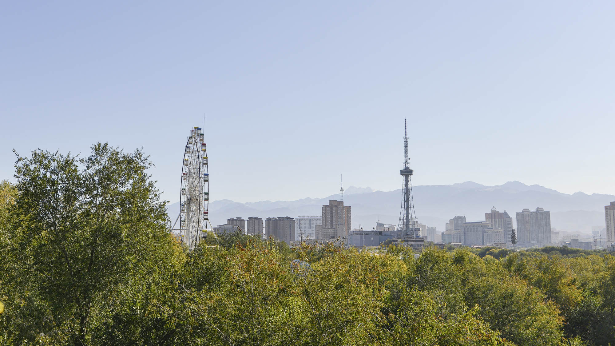 _DSC9055.JPG