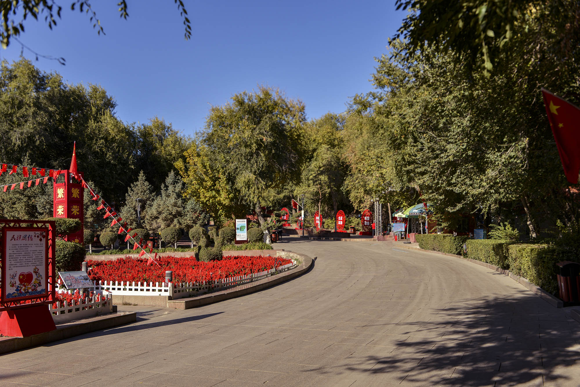 _DSC9017.JPG