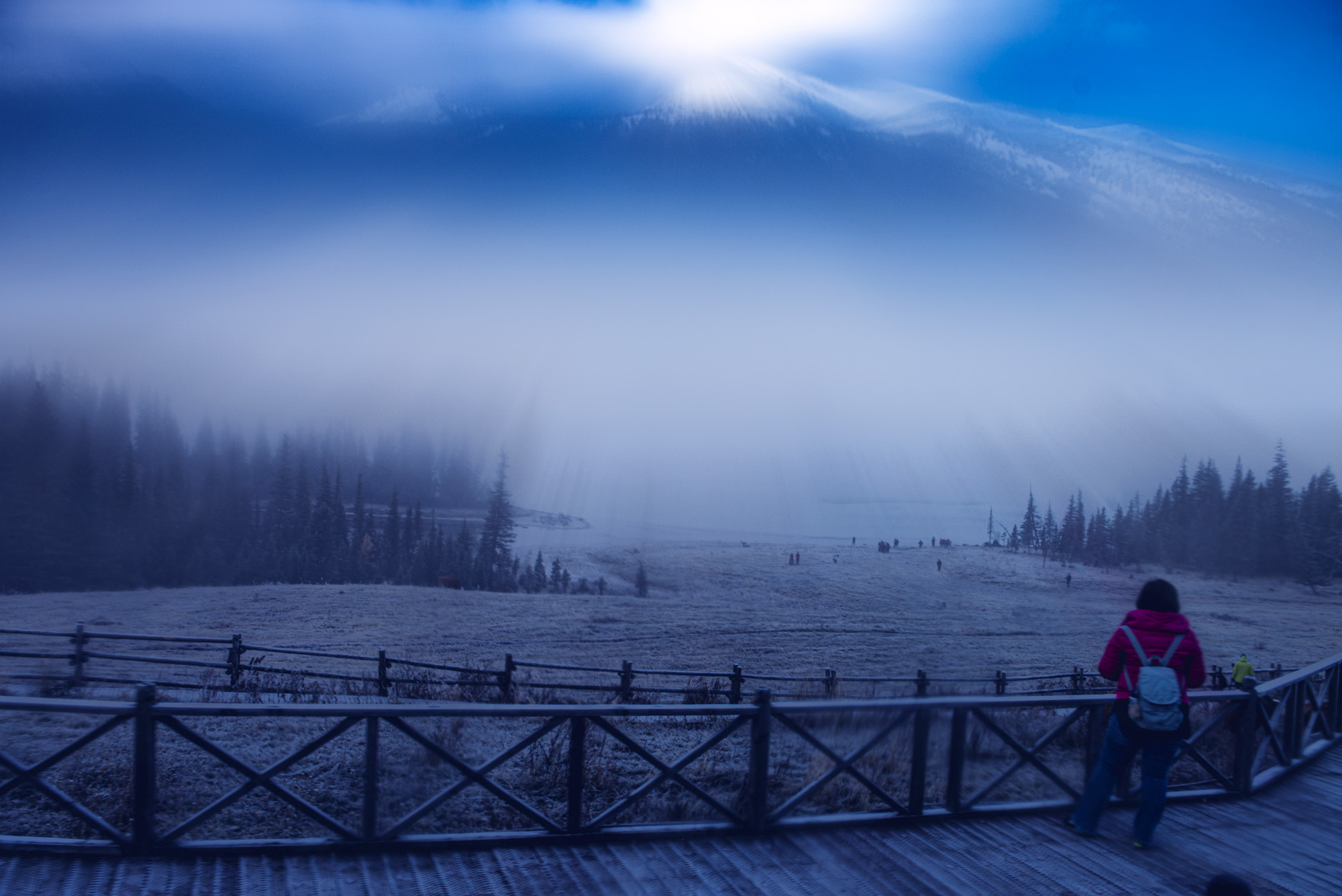 _DSC8507-1.jpg