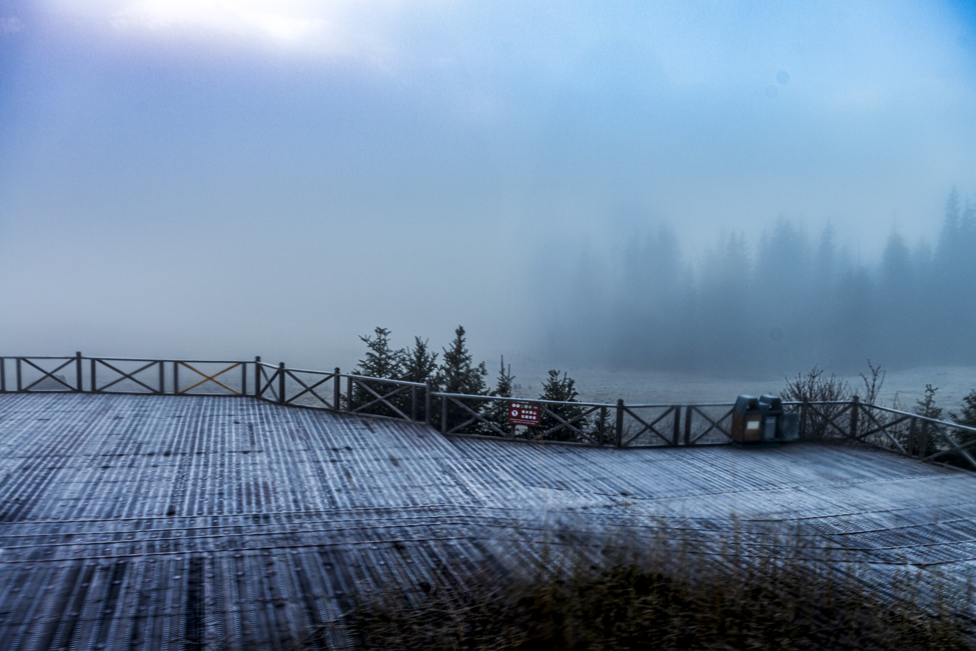 _DSC8479-1.jpg