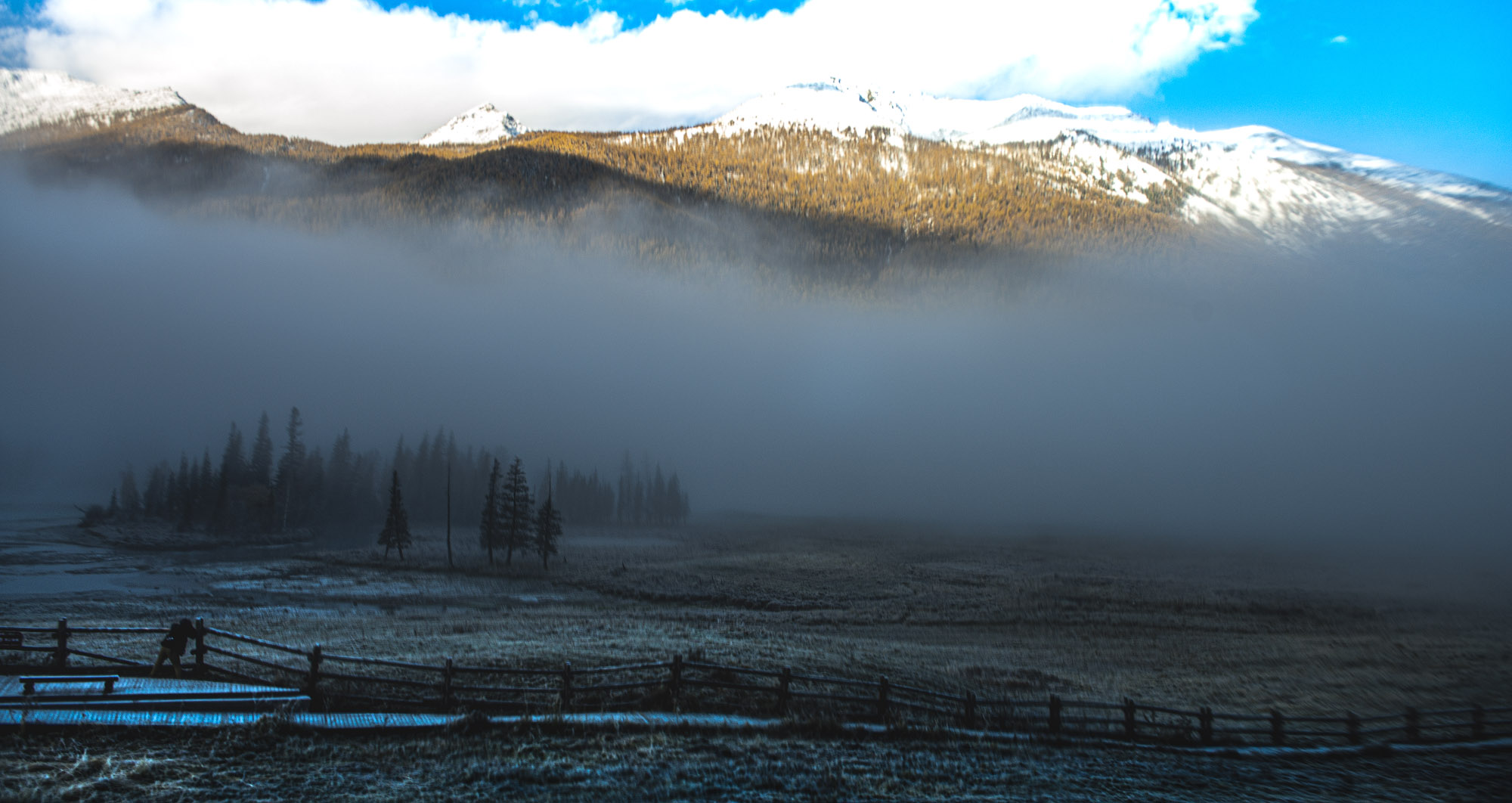 _DSC8524-1.jpg