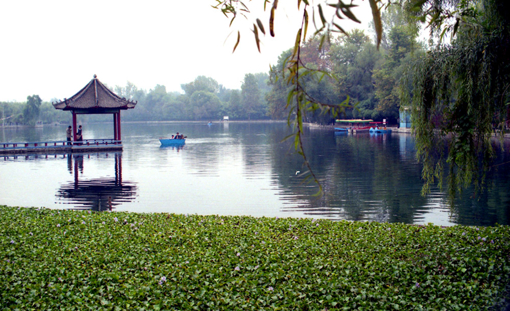 img210.jpg