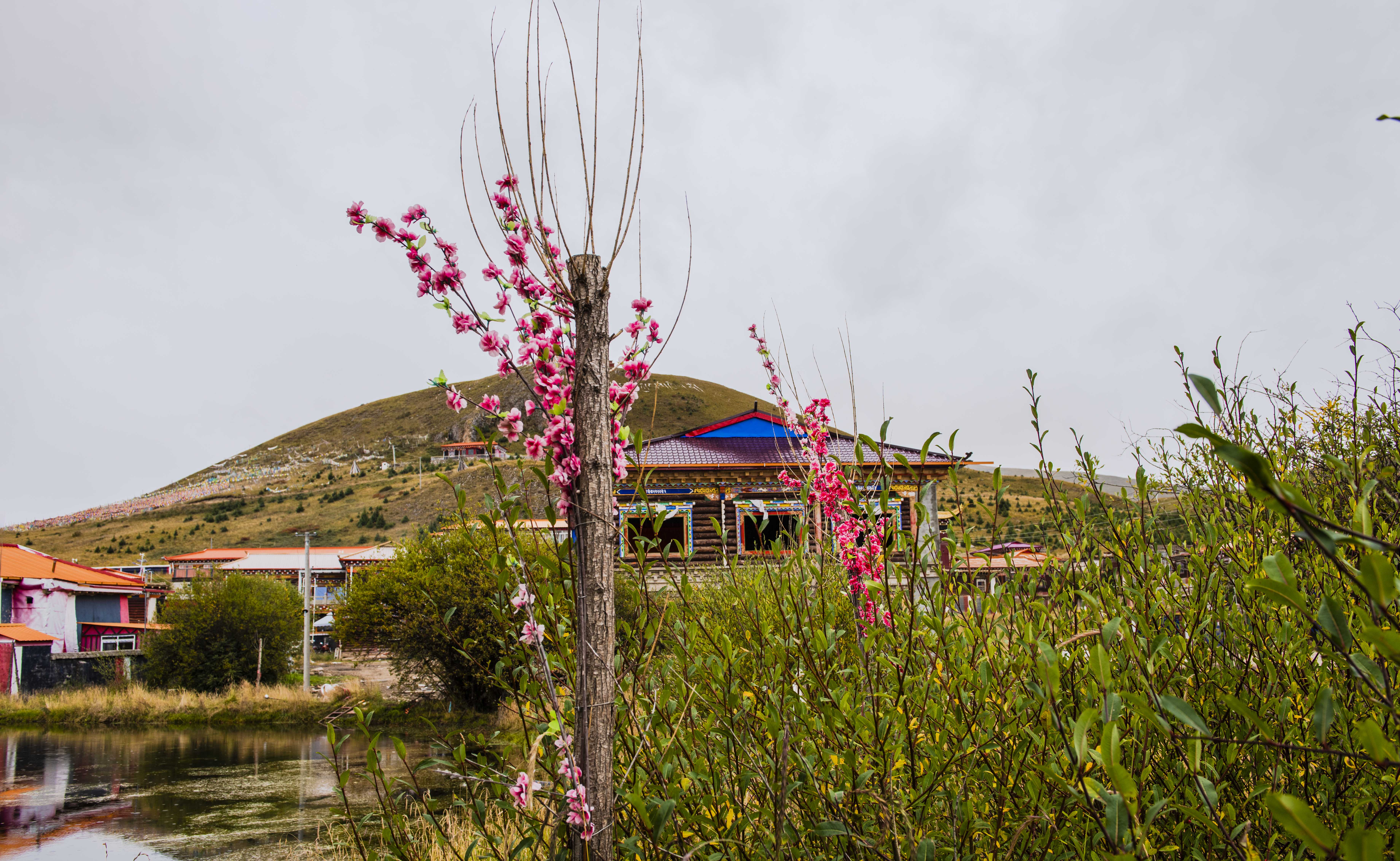 11DSC_0507.jpg
