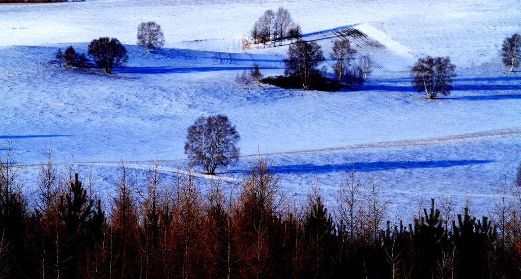 _MG_6958.JPG