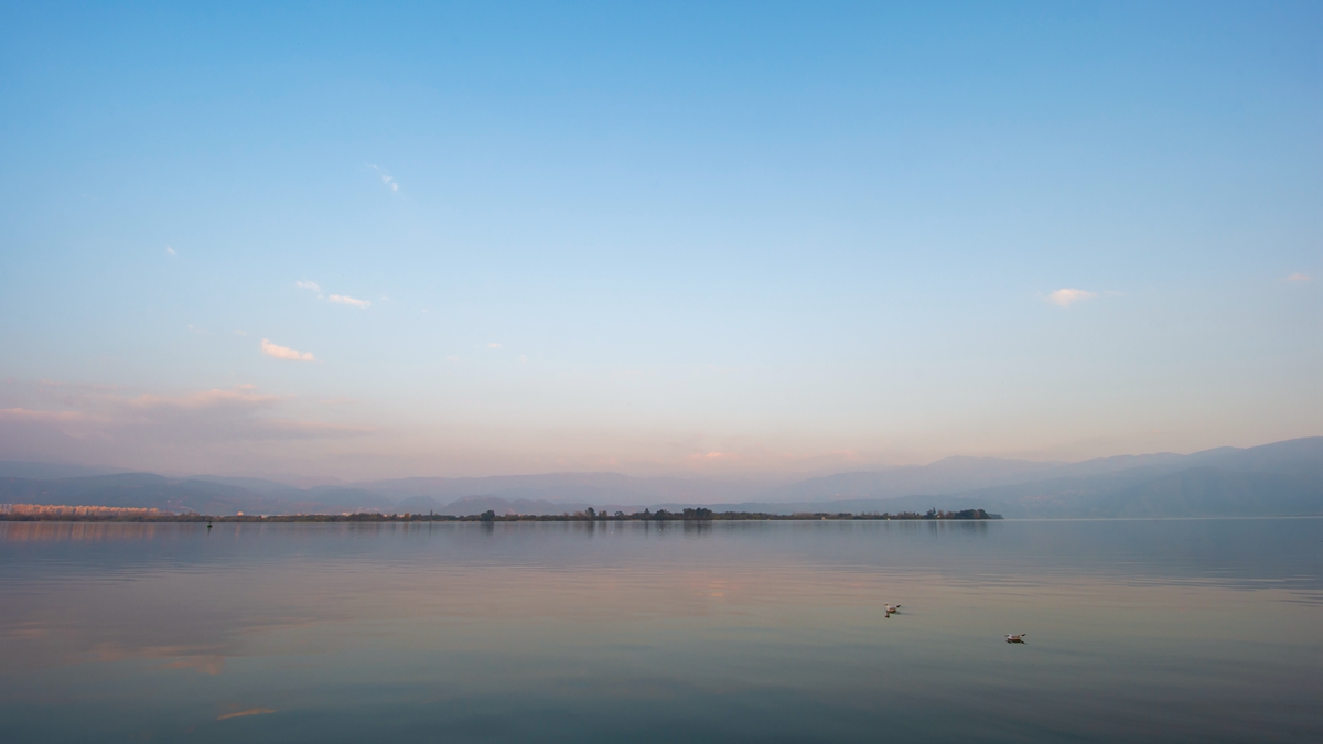 DSC_6244.jpg