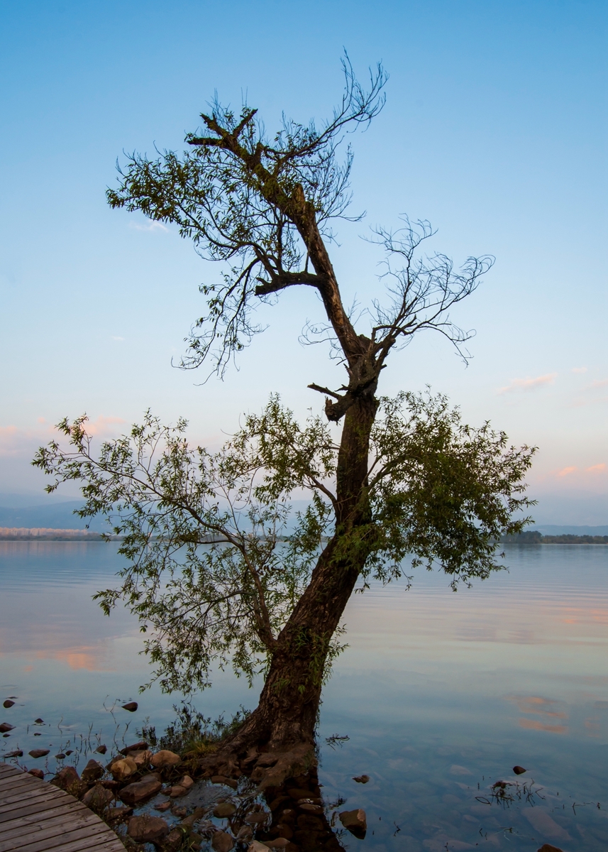 DSC_6255.jpg