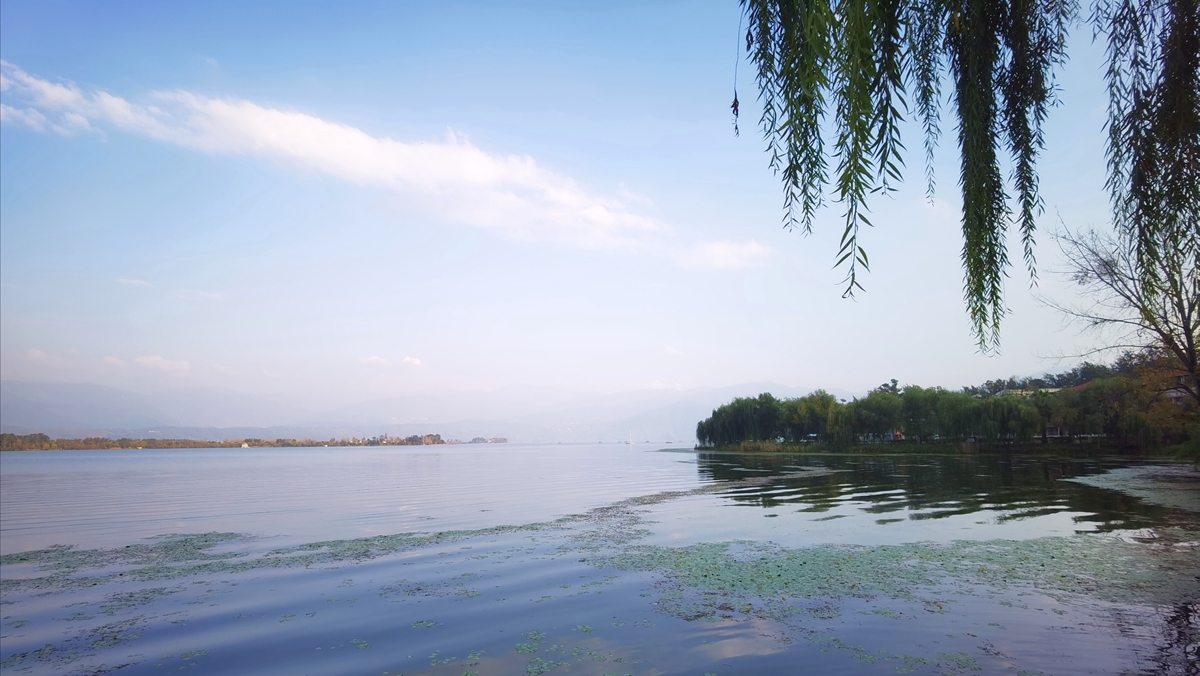 微信图片_20201116161545.jpg