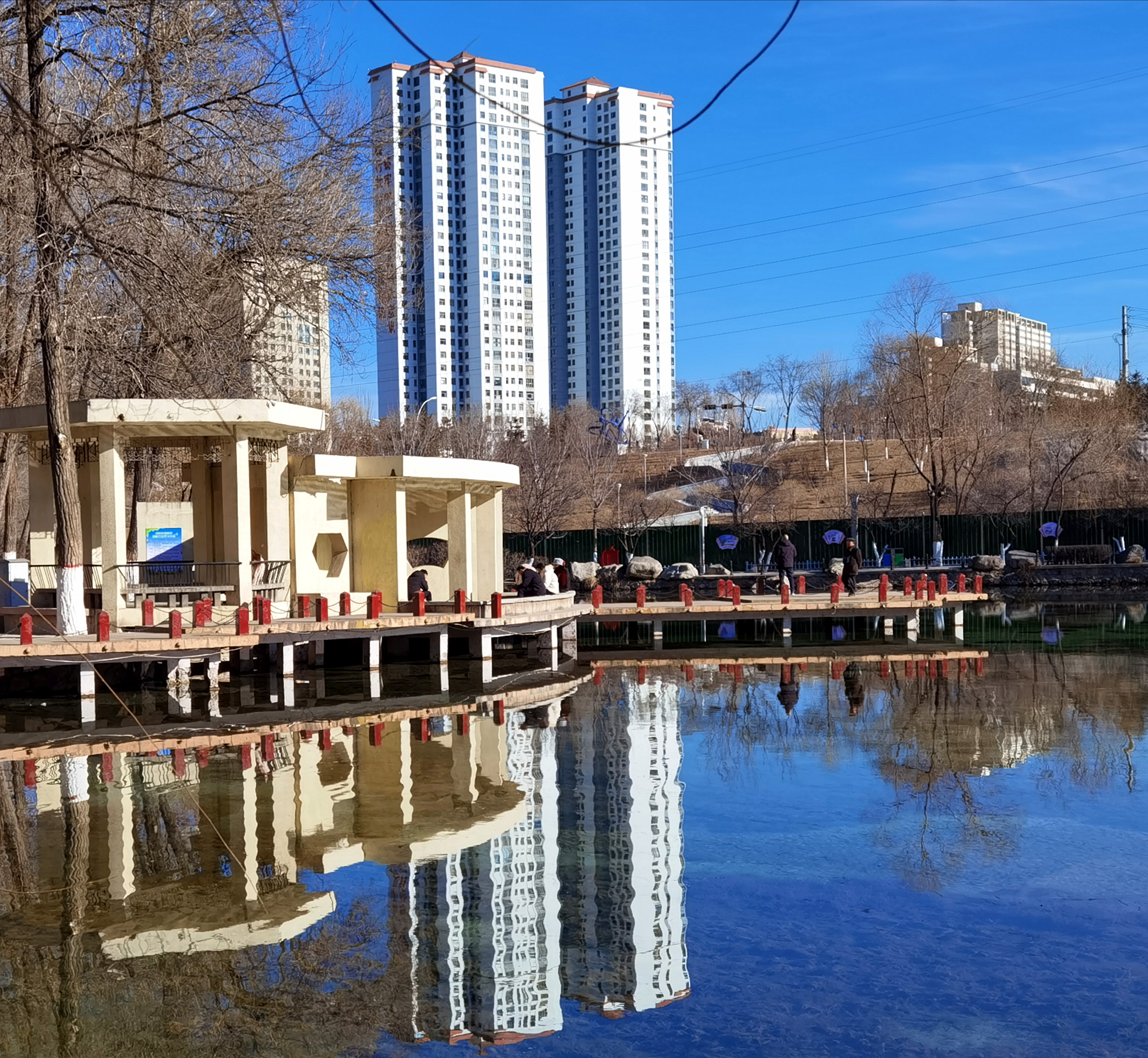 IMG_20201227_190714.jpg