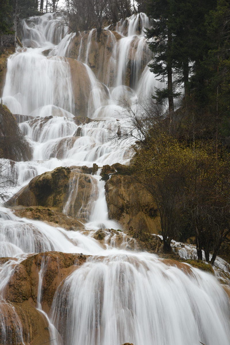 DSC_2158.jpg