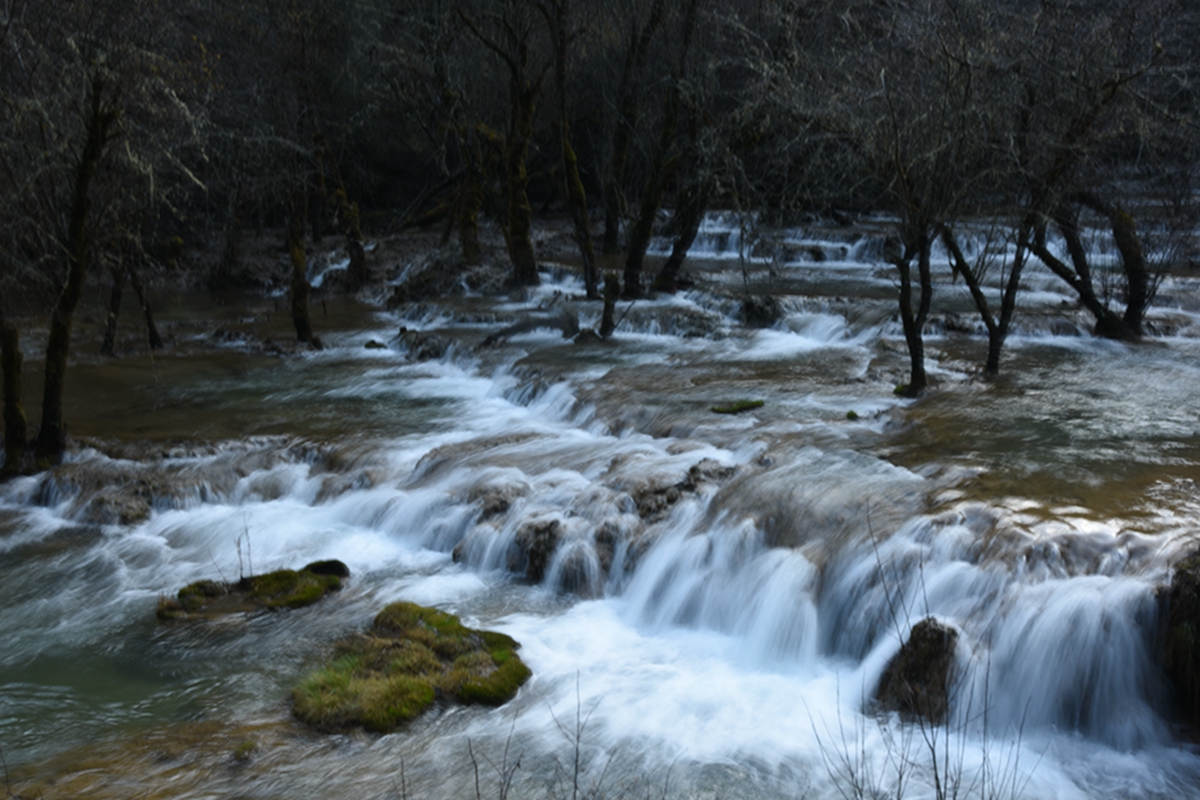 DSC_2162.jpg