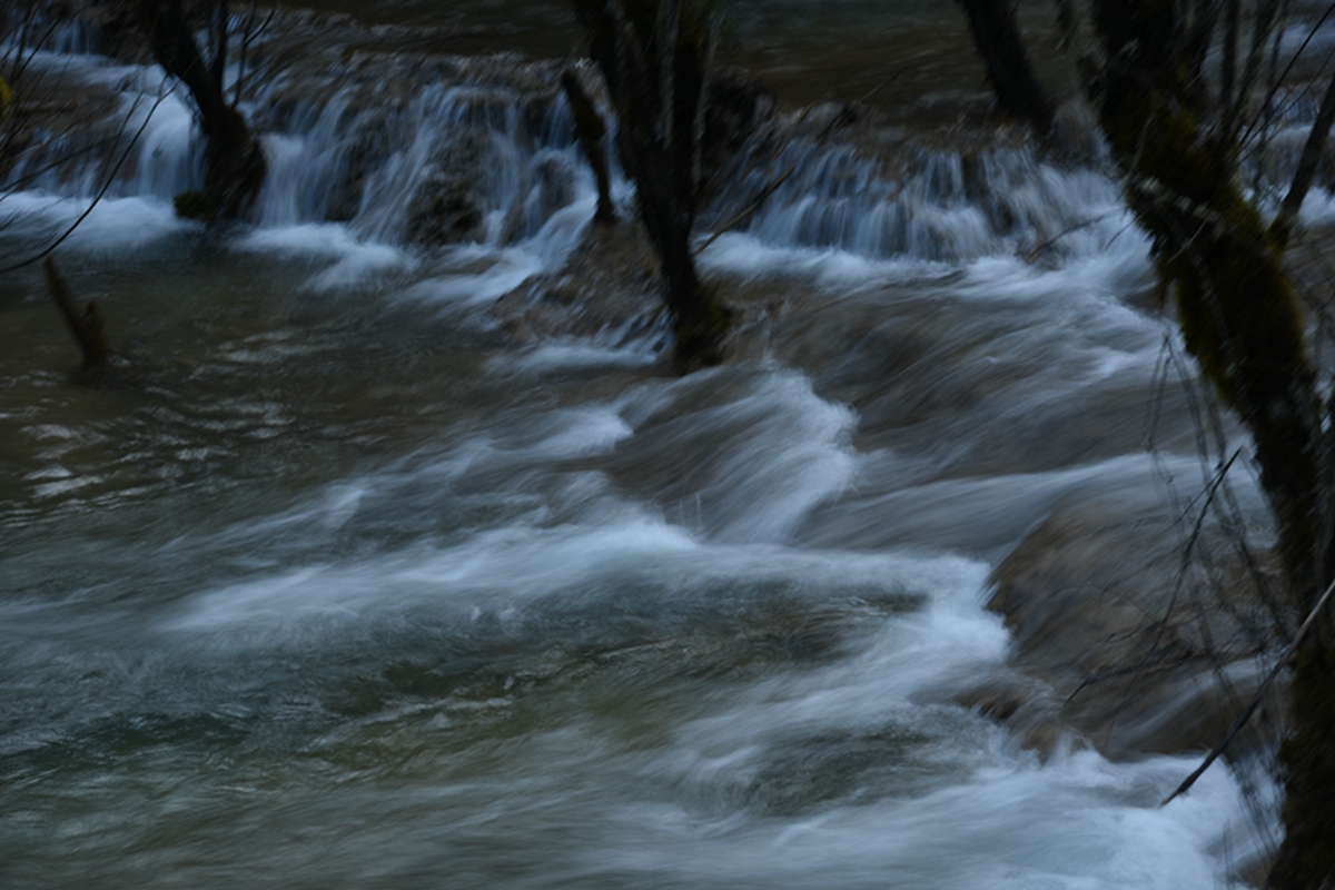 DSC_2180.jpg