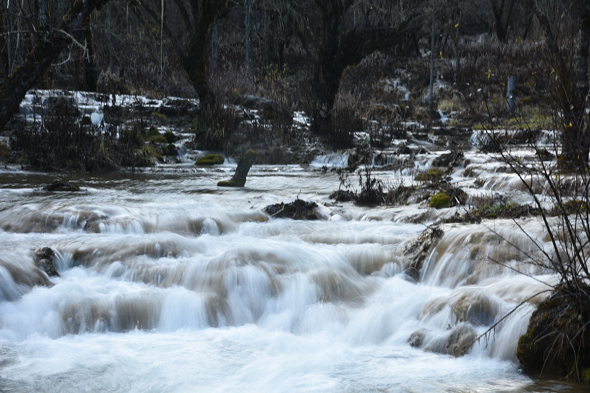 DSC_2173.jpg