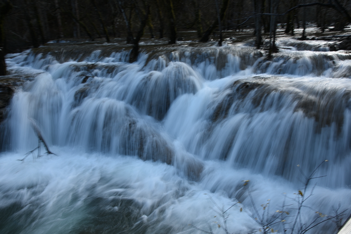 DSC_2195.jpg