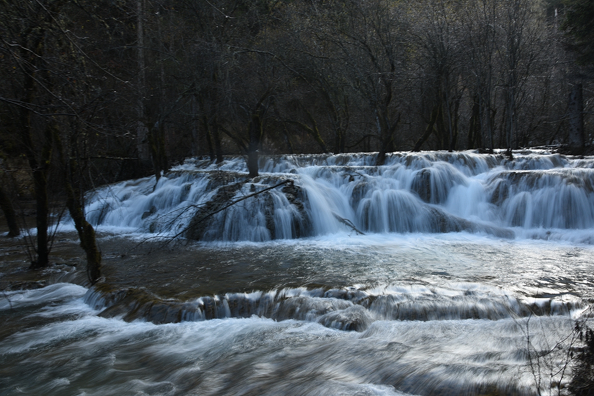 DSC_2201.jpg