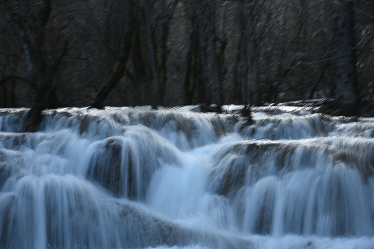 DSC_2205.jpg