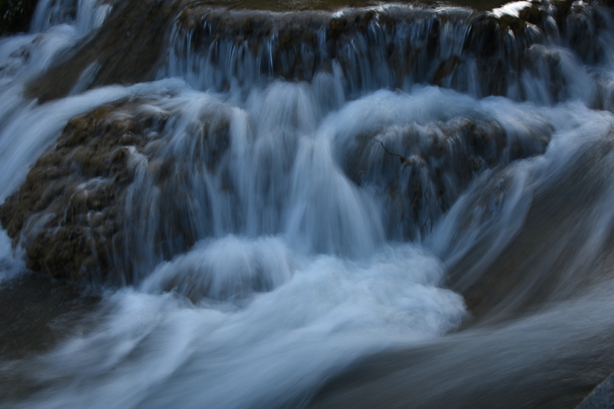 DSC_2209.jpg