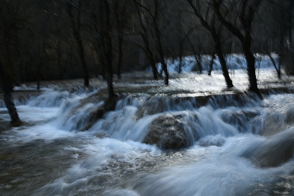 DSC_2212.jpg
