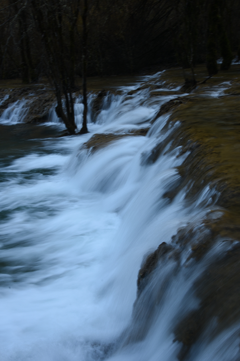 DSC_2216.jpg
