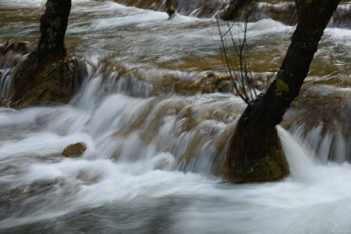 DSC_2233.jpg