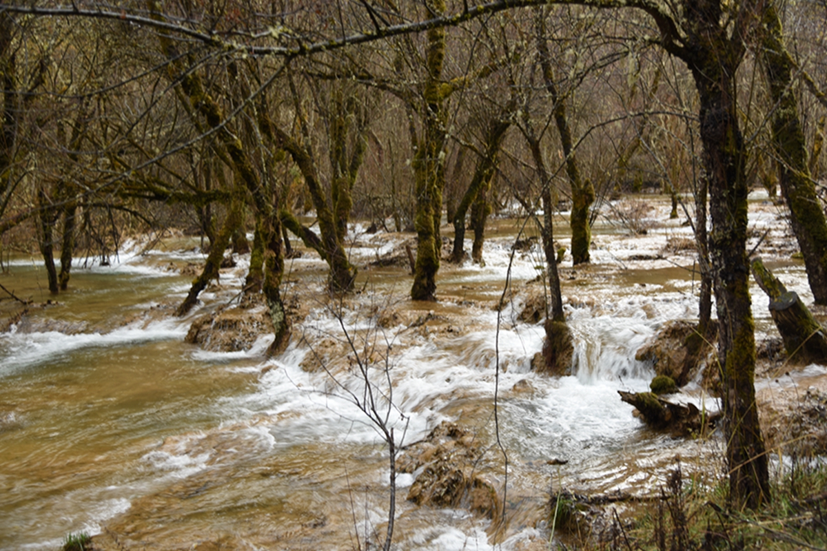 DSC_2242.jpg