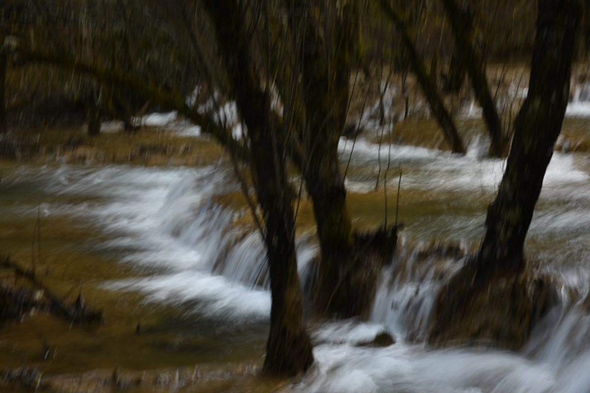 DSC_2231.jpg