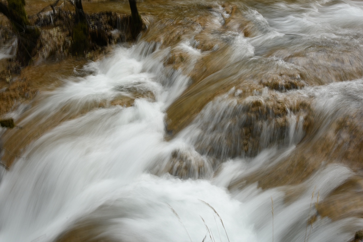 DSC_2256.jpg