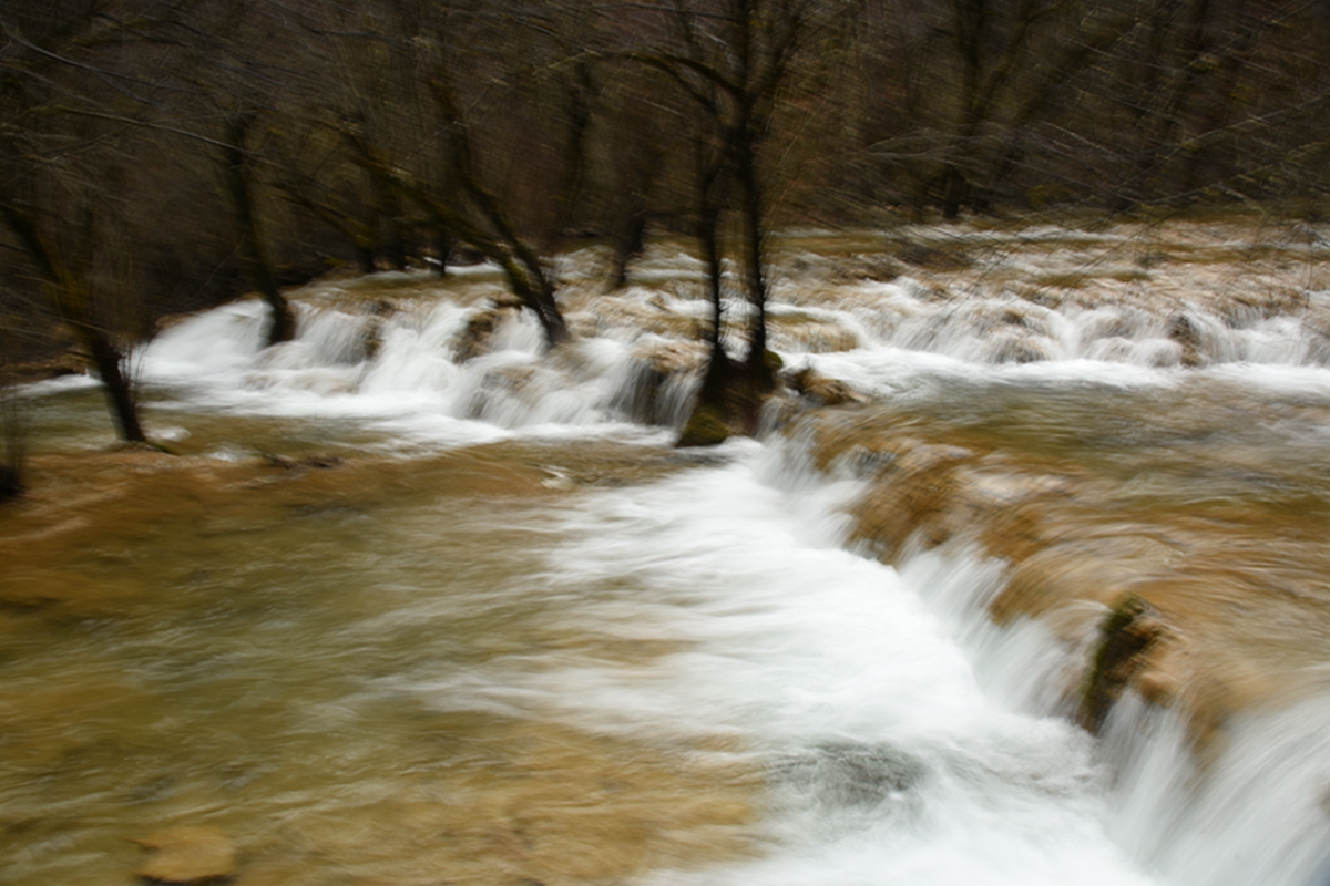 DSC_2270.jpg