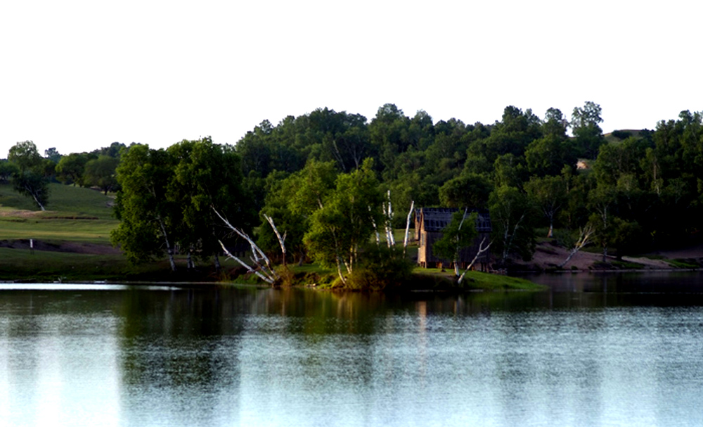 _DSF0791.JPG
