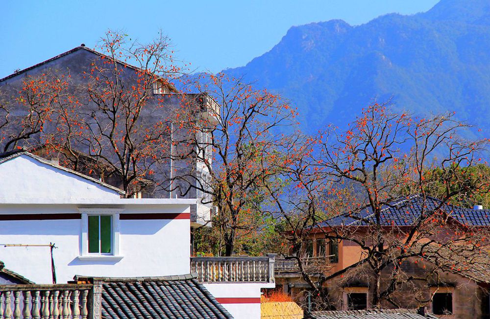 IMG_3380_副本a_副本_副本.jpg