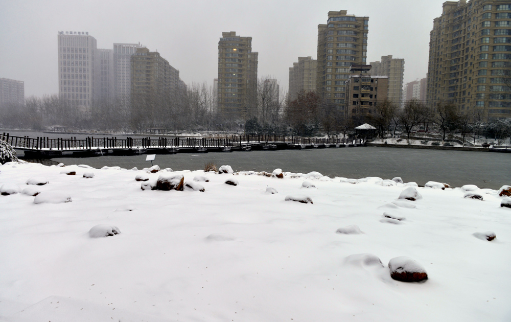 _DSC0053.JPG