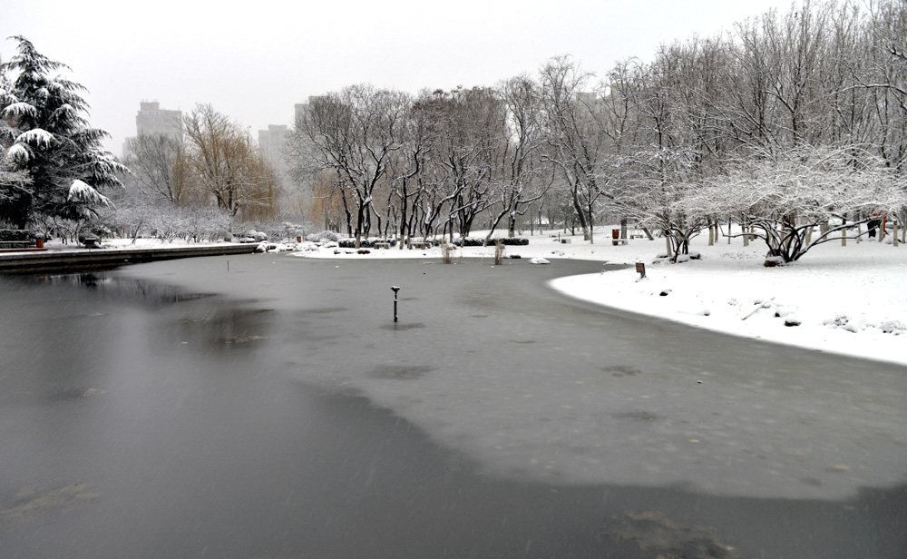 _DSC0103.JPG