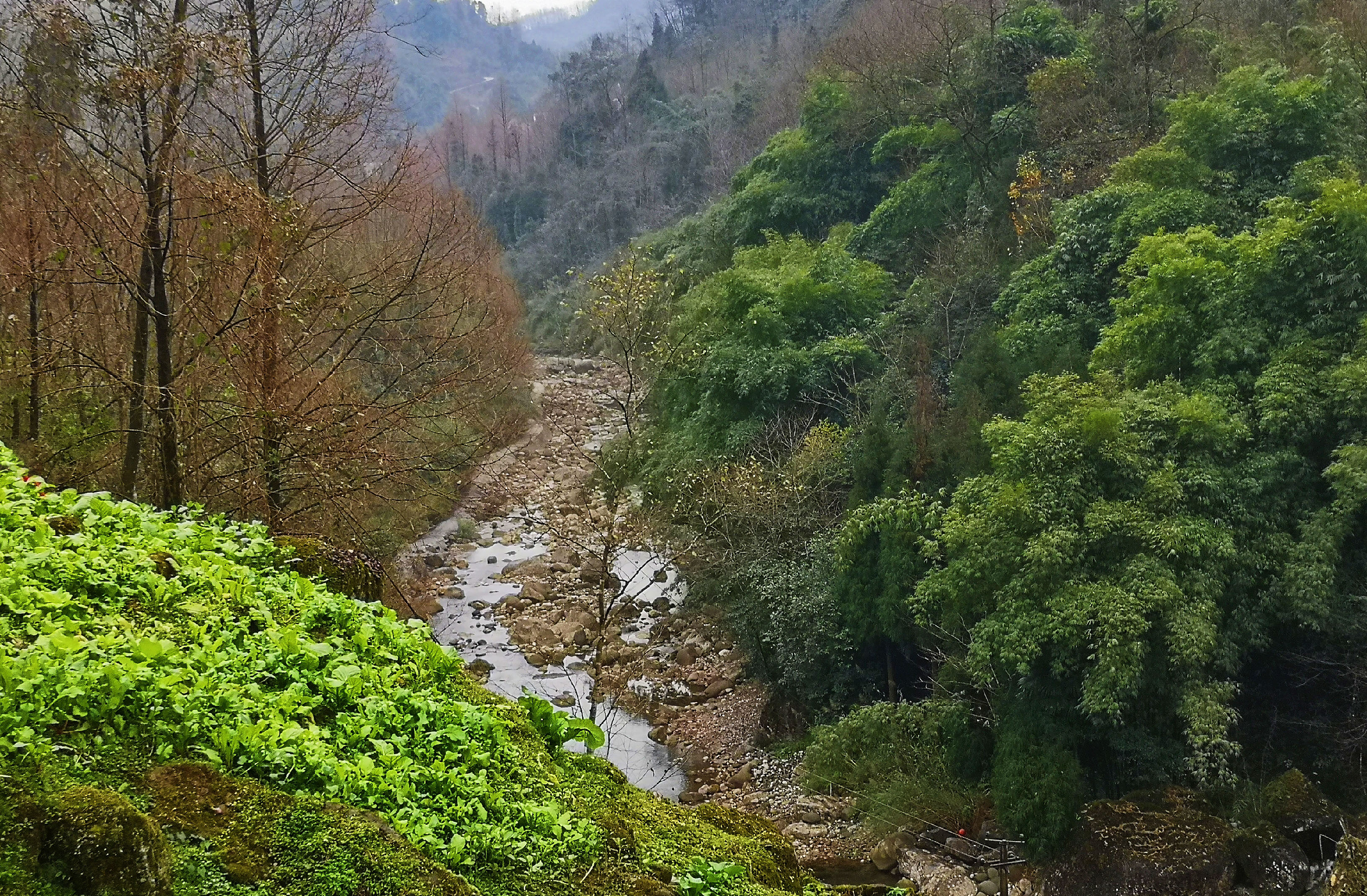11_202012296-副本.jpg