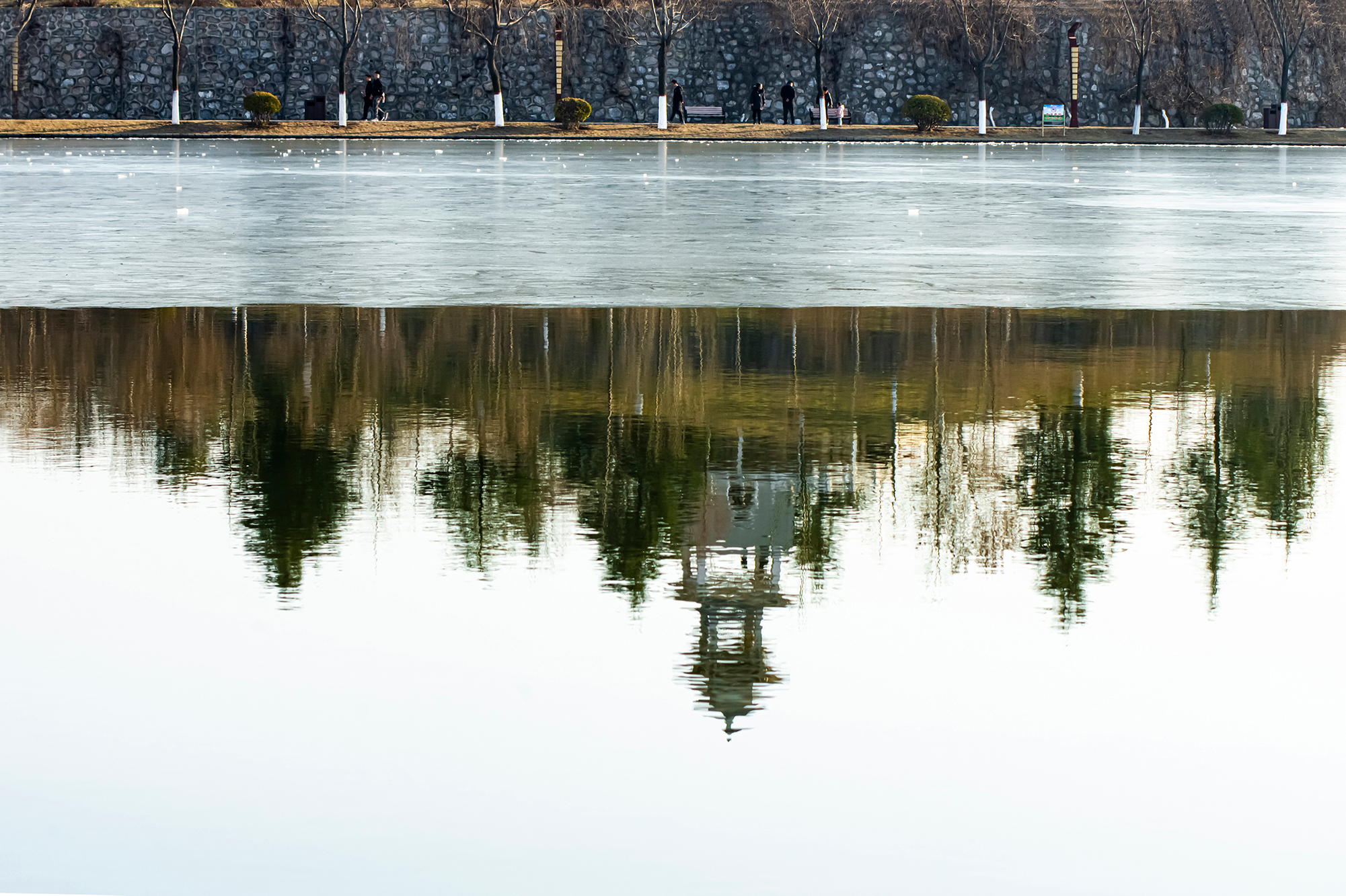 _DSC7260-1.jpg