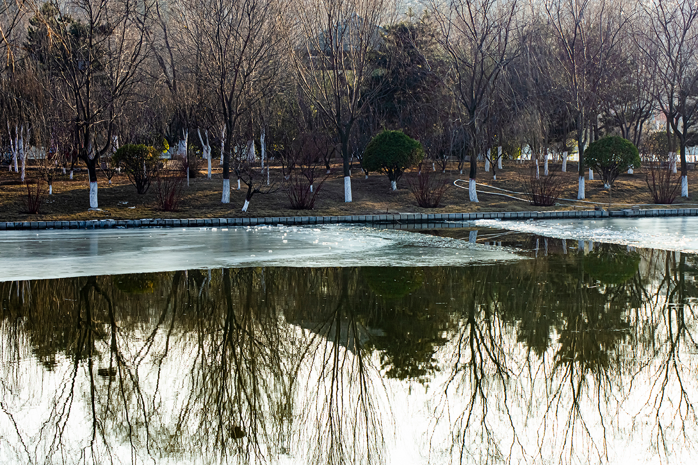 _DSC7266-1.jpg
