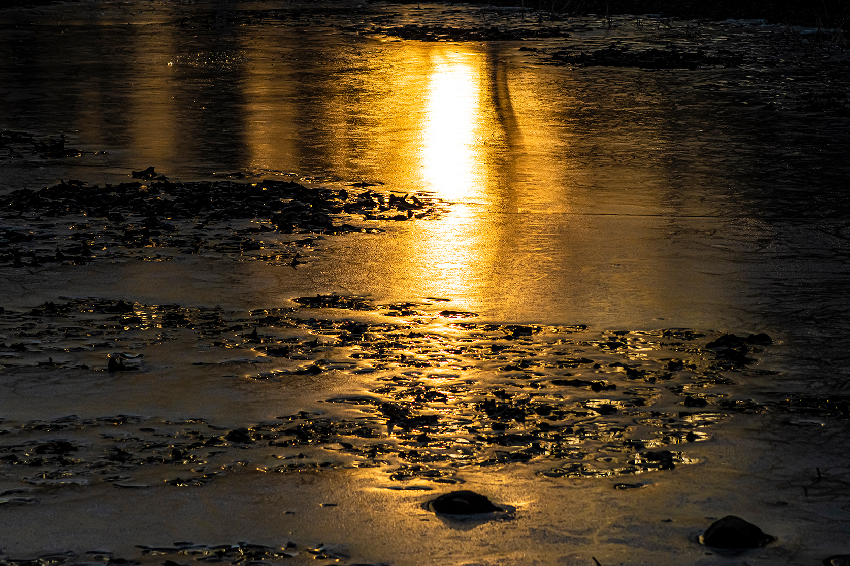 _DSC7285-1.jpg