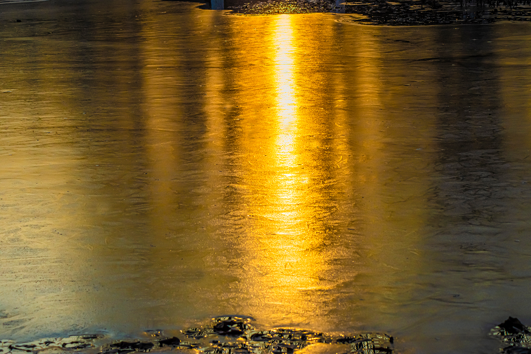 _DSC7288-1.jpg
