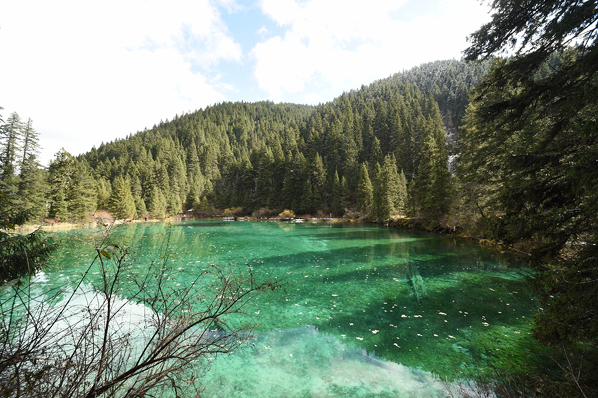 DSC_2096.jpg