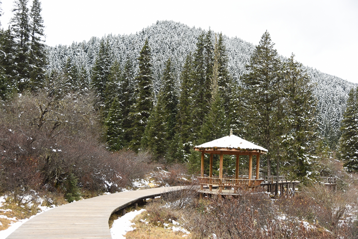 DSC_1982.jpg