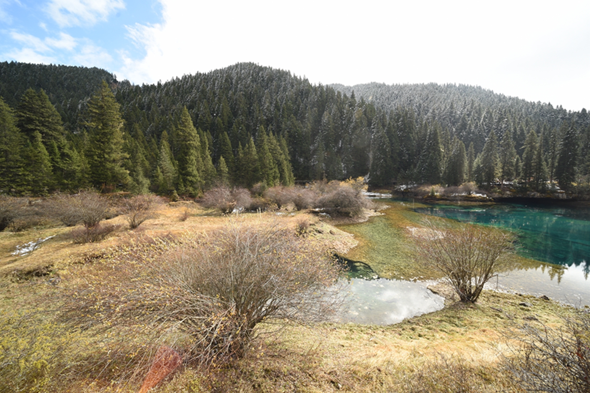 DSC_2077.jpg